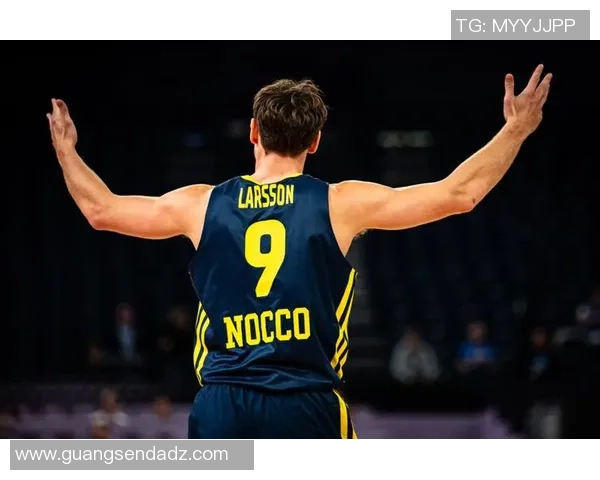 中国与立陶宛篮球赛精彩直播录像回放全程回顾与分析